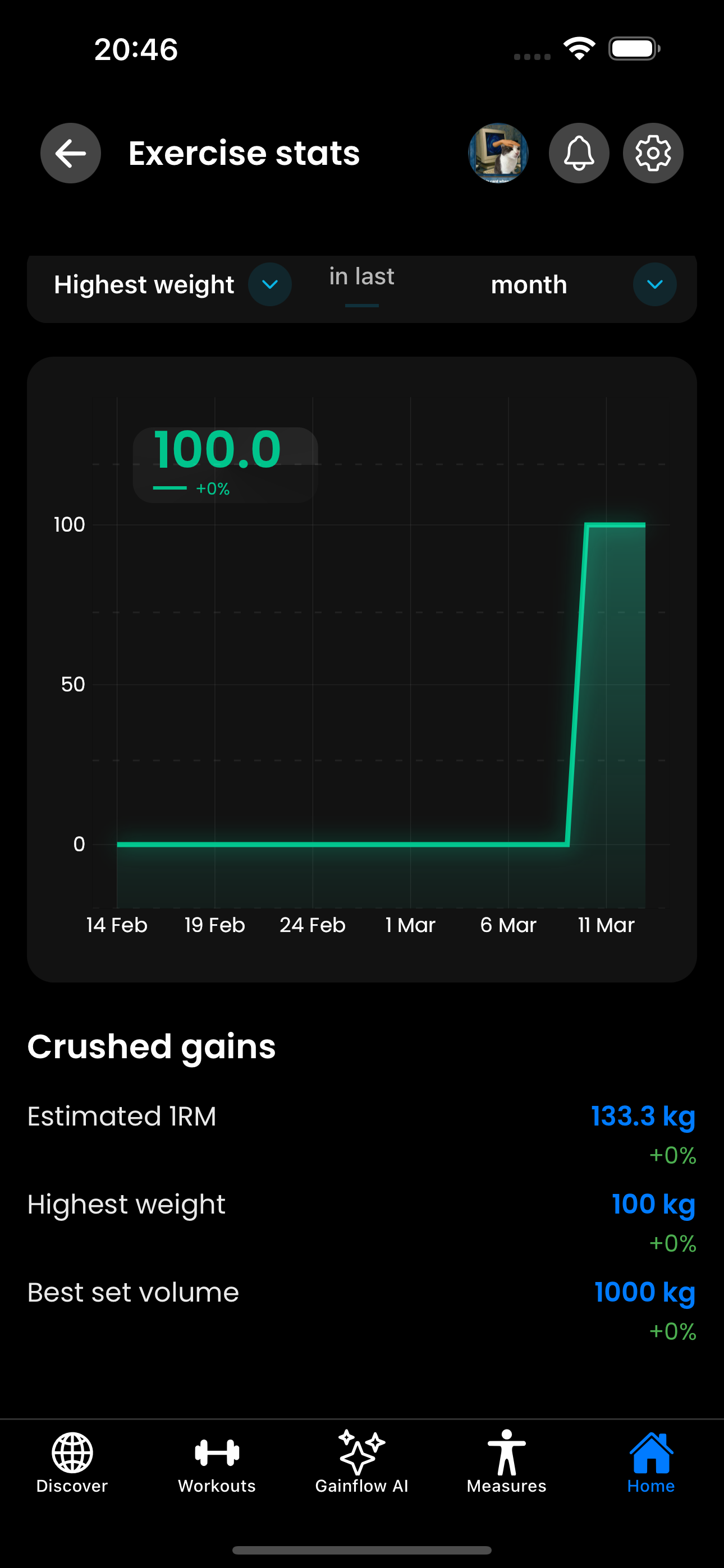 1RM and volume stats in the workout app